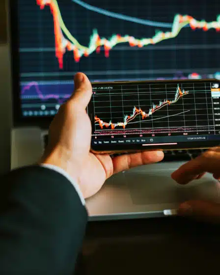 Quais os Perfis Existentes de Investidor?