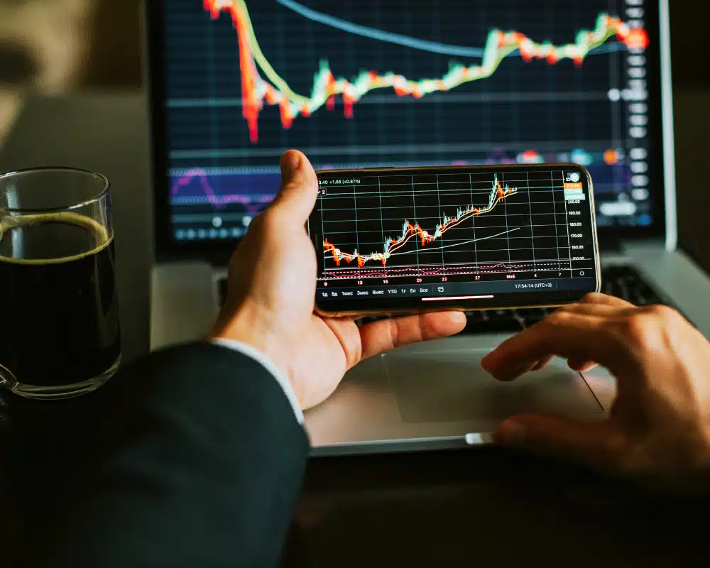 Quais os Perfis Existentes de Investidor?