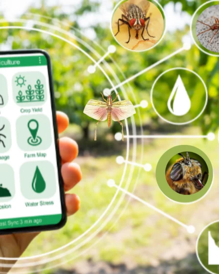 Aplicativo para identificar inseto